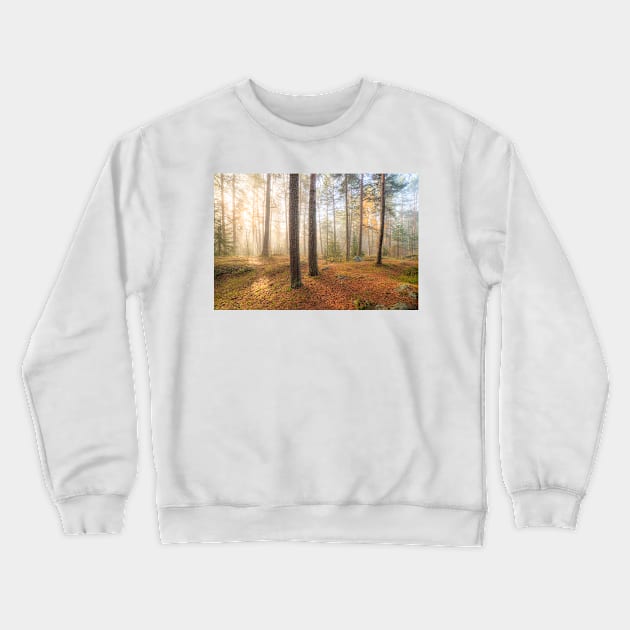 Foggy morning sun light forest Crewneck Sweatshirt by Juhku